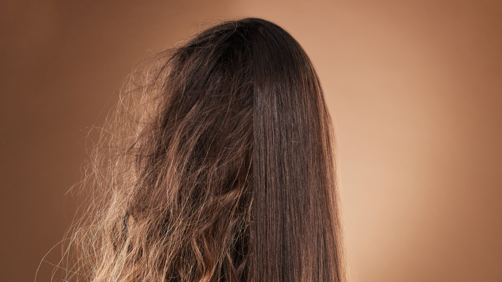 Viewed from behind, a person’s long brown hair shows one side smooth and frizz-free, the other frizzy—reflecting autumn’s damp weather struggles—with a plain beige background.