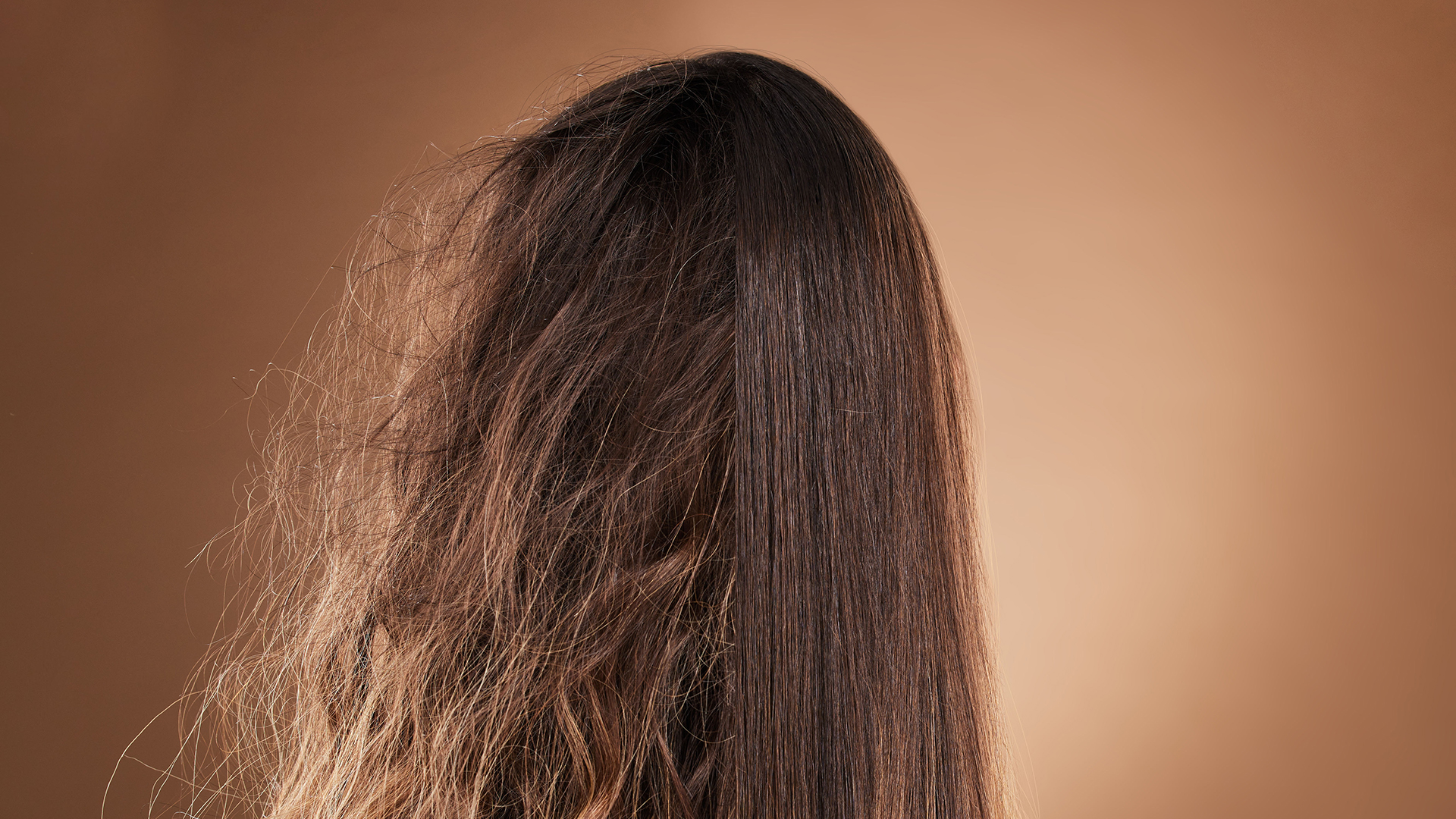 Viewed from behind, a person’s long brown hair shows one side smooth and frizz-free, the other frizzy—reflecting autumn’s damp weather struggles—with a plain beige background.